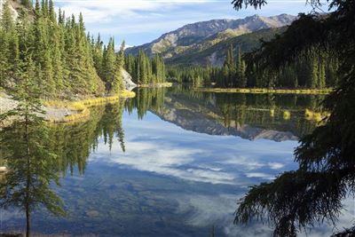 Horseshoe Lake im Denali Nationalpark